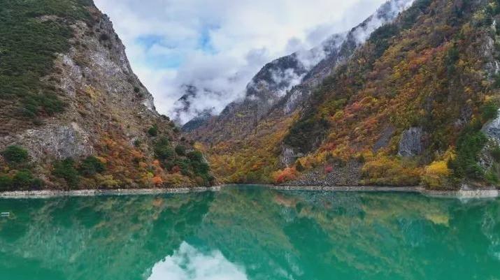 泰裤辣是什么梗?知识星球平台,探索专业知识的乐园